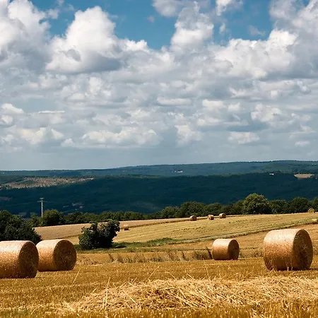 La Source Du Bonheur